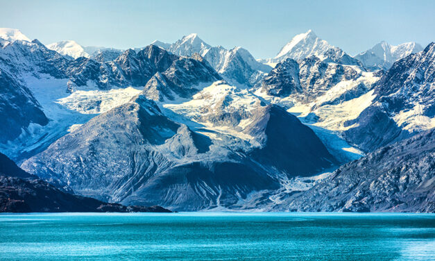 Glacier Bay Alaska – Contact Us